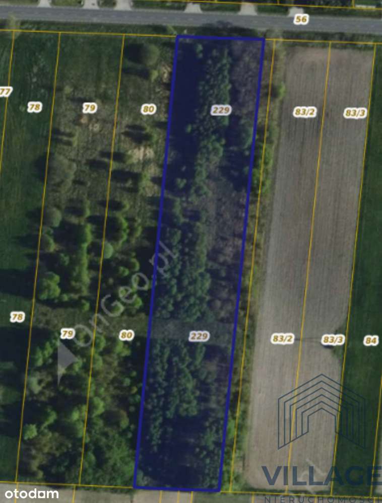 Działki pod zabudowę lub inwestycję - Pełny obrazek: 1/3