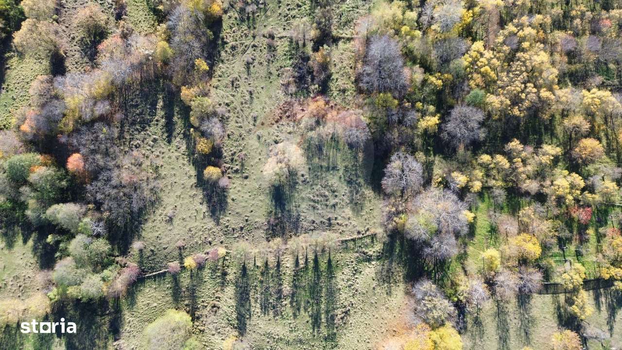 Teren si casa de vânzare la baza muntelui Iezer in Valea Mare Pravat-6