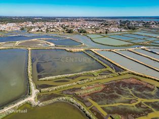 Arrenda Terreno de marinha com 13.600m2, bons acessos, nas  Praias do - Grande imagem: 3/35