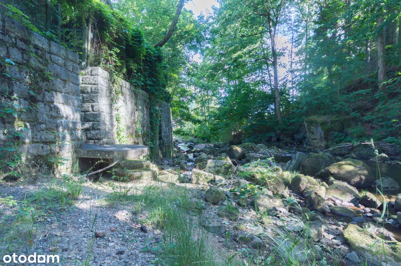 Wyjątkowy Pensjonat w samym sercu miasta-18