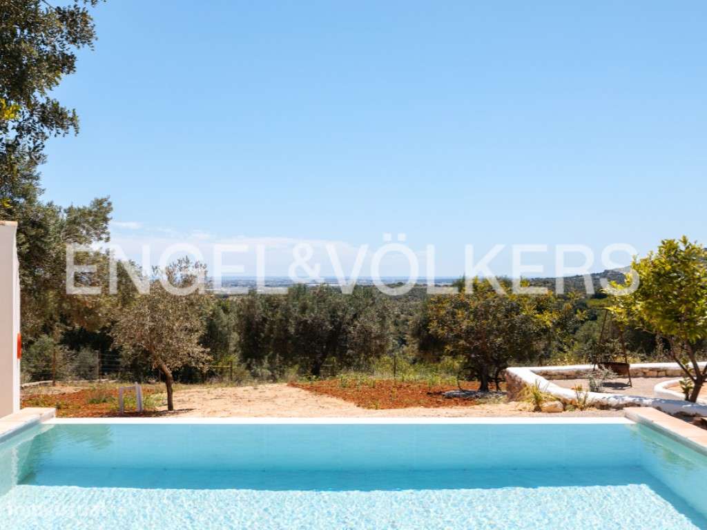 Olive Heritage-44