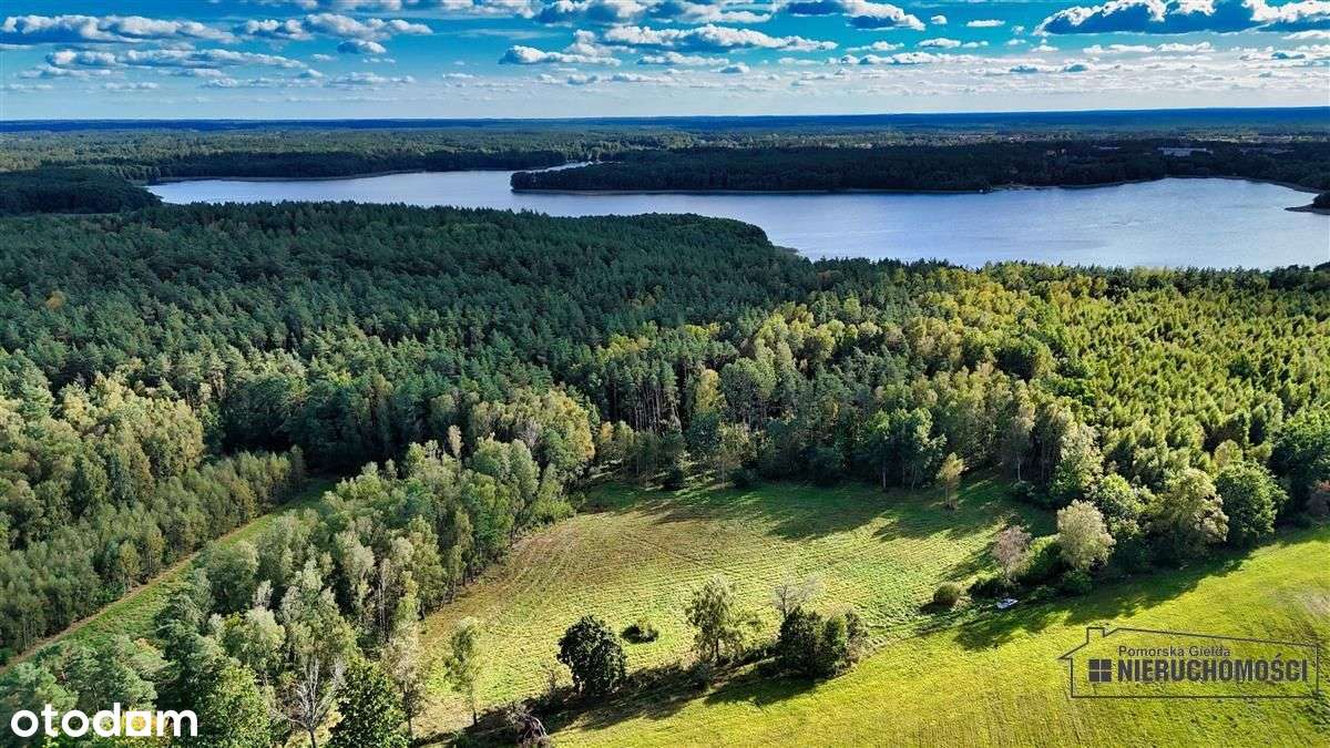 Pod Lasem Ok. 300 M Od Jeziora Pile - Dąbrowica --4