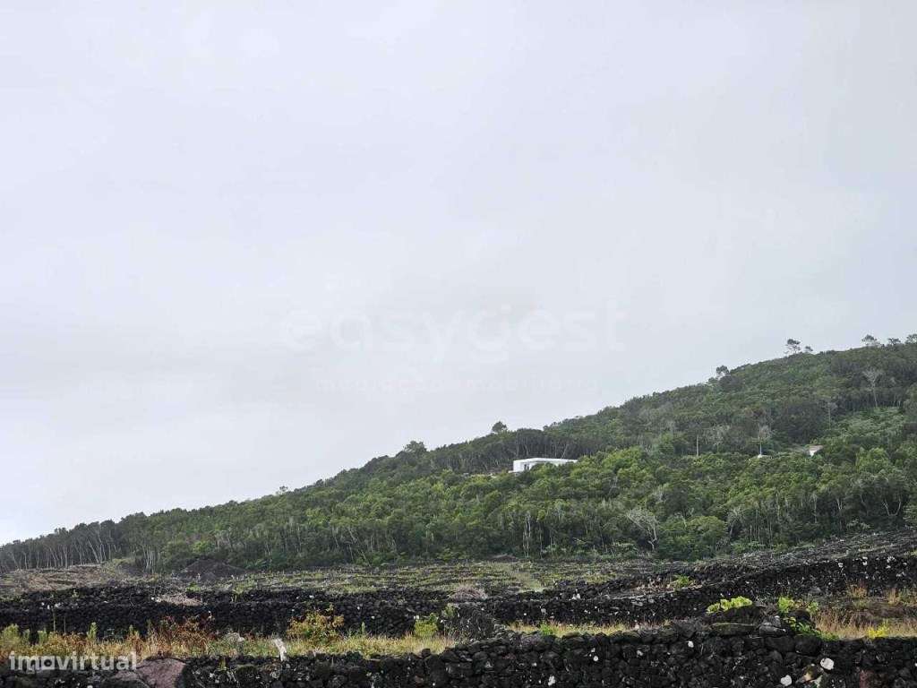 Terreno em zona típica da ilha do Pico com vista mar e montanha - Grande imagem: 5/20