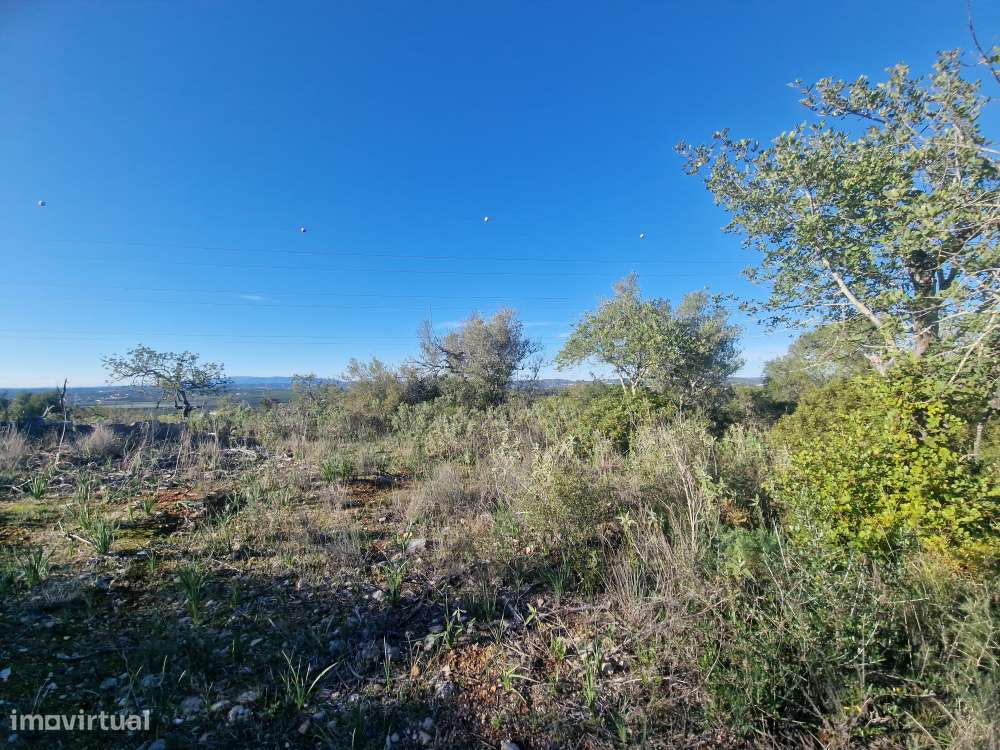 Terreno Misto com Projeto Aprovado e Licenciado - Tunes-4