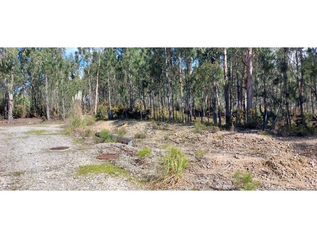 Terreno para construção na Vila de Monte Real - Grande imagem: 3/5
