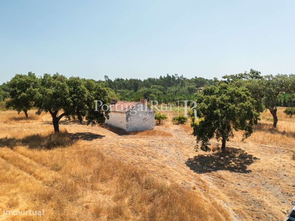 Quinta de 20ha com projeto para Turismo Rural a 1h de Lisboa-5