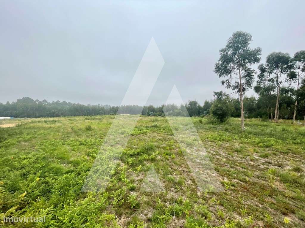 Terreno para construção em Rio Meão - Santa Maria da Feira - Grande imagem: 5/12