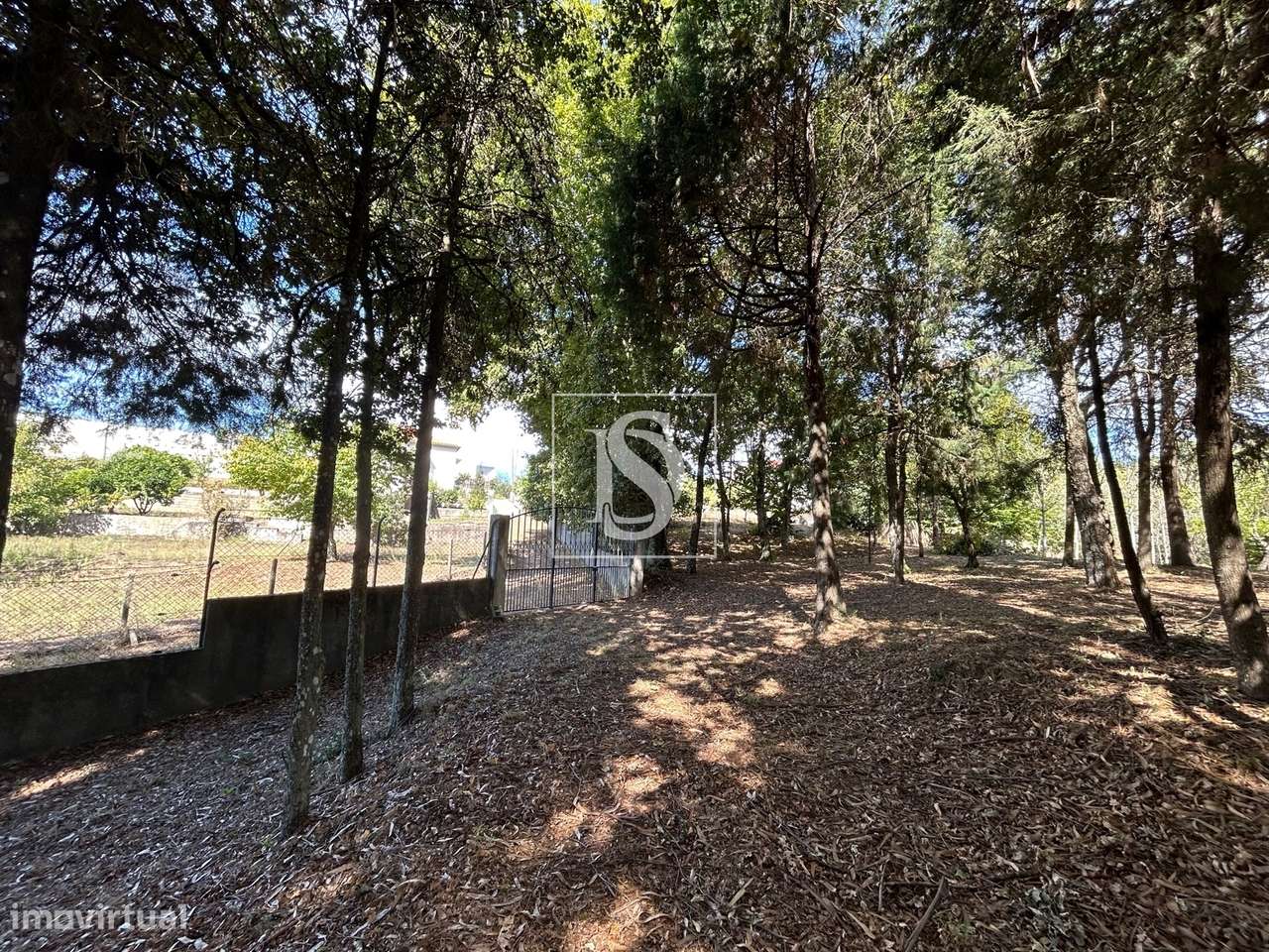 Quinta T6 Venda em Santa Comba Dão e Couto do Mosteiro,Santa Comba Dão-38