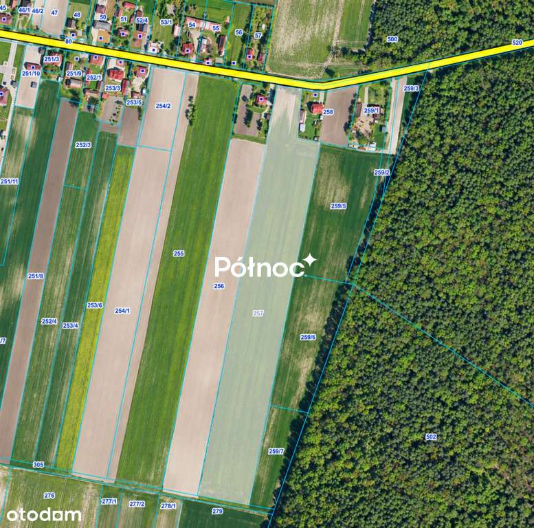 Duża działka 3,3 ha z częścią pod zabudowę – Depułtycze Królewskie-1