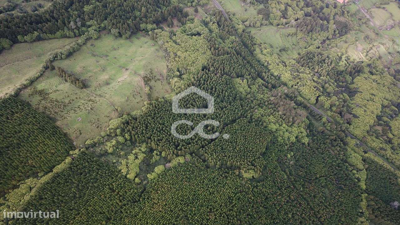Terreno com 41.624,00 m2 - Santo Amaro - São Roque do Pico-8