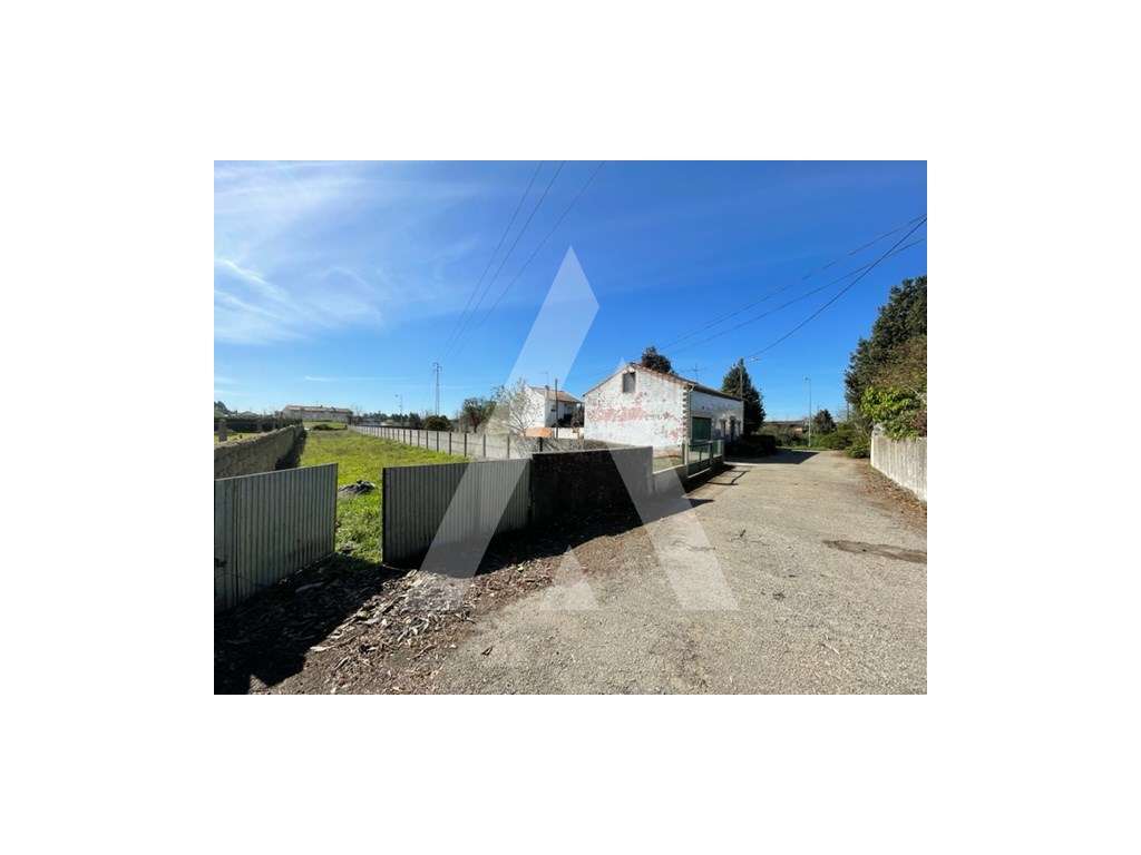 Terreno rústico na Trofa - Águeda - Grande imagem: 4/12