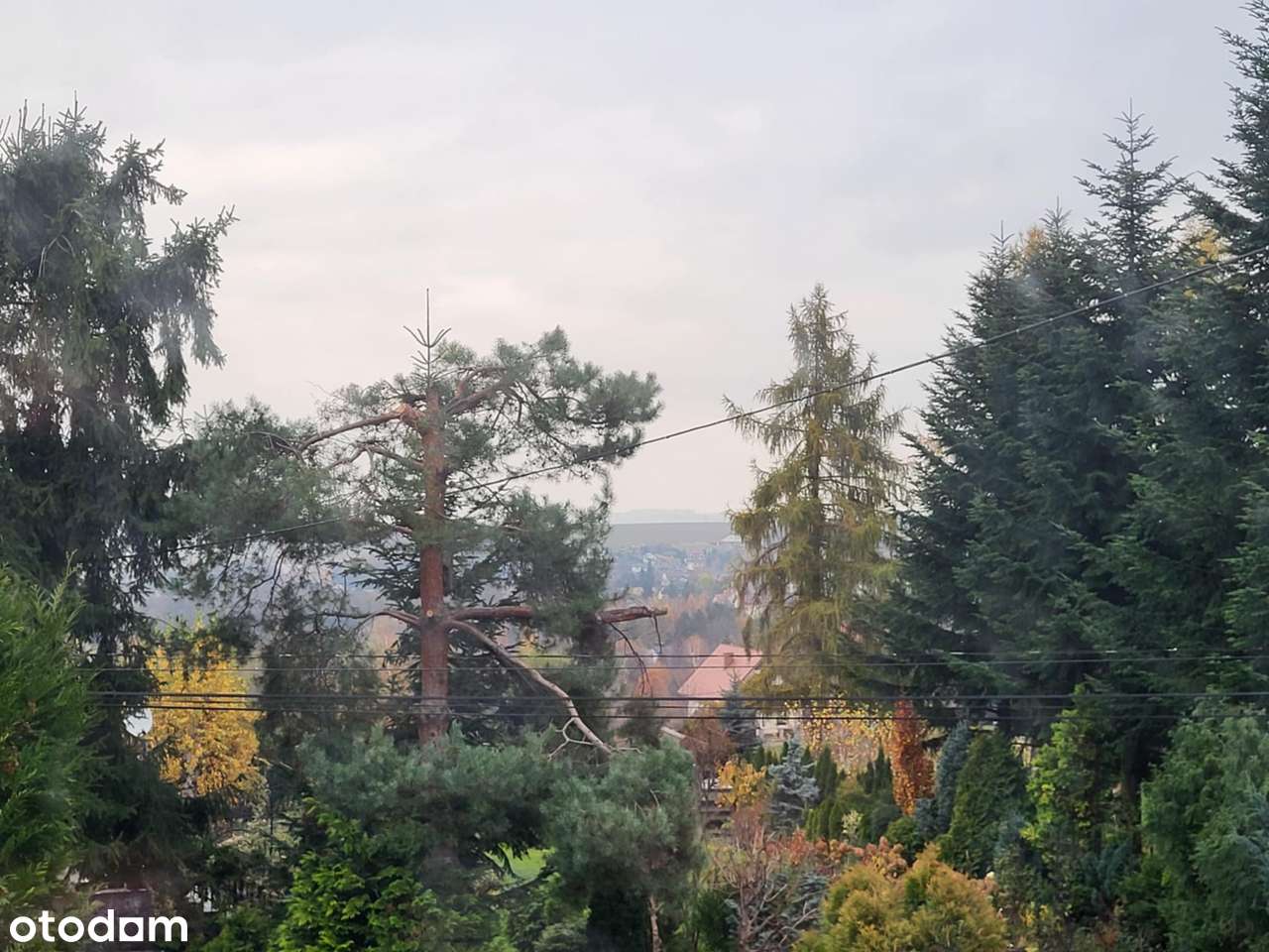 Dwupokojowe mieszkanie z ogródkiem KUPUJĄCY NIE PŁACI PROWIZJI-5