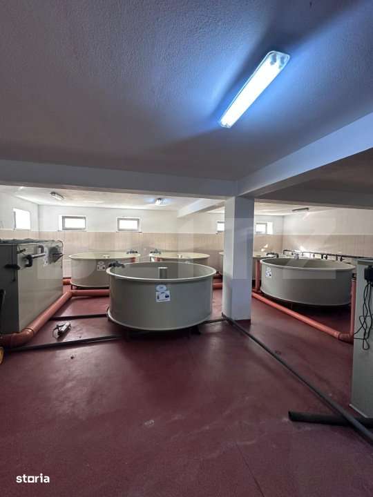 Pensiune/Ferma pescicola la cheie, teren 4000 mp, zona Molid, 0% comis - Imagine principală: 4/6