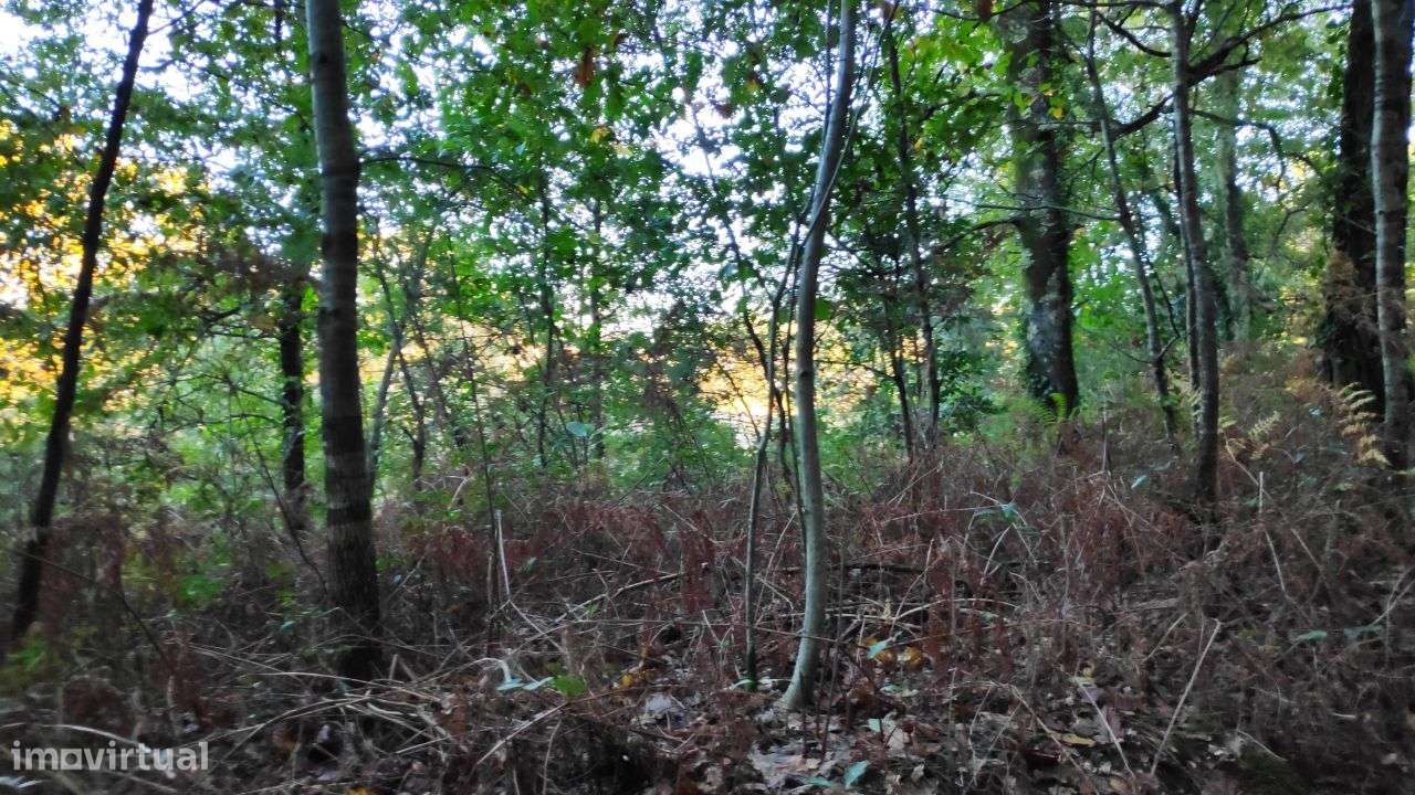 Terreno em Rendufe, Amares - Grande imagem: 3/12