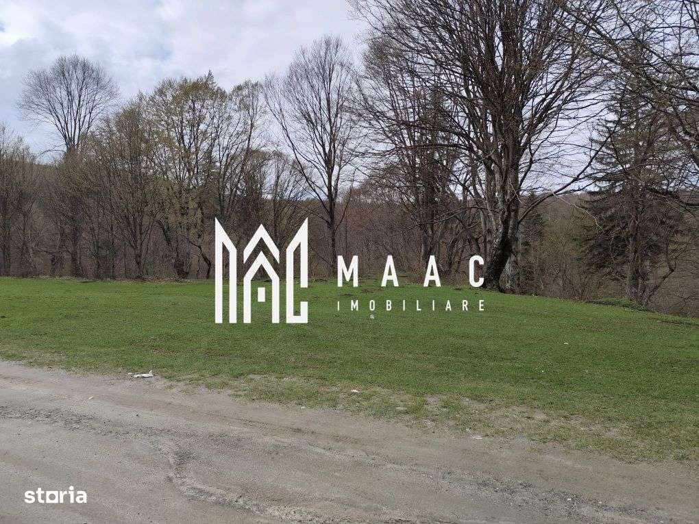 Teren Intravilan |2000Mp| Valea Avrigului - Imagine principală: 4/8