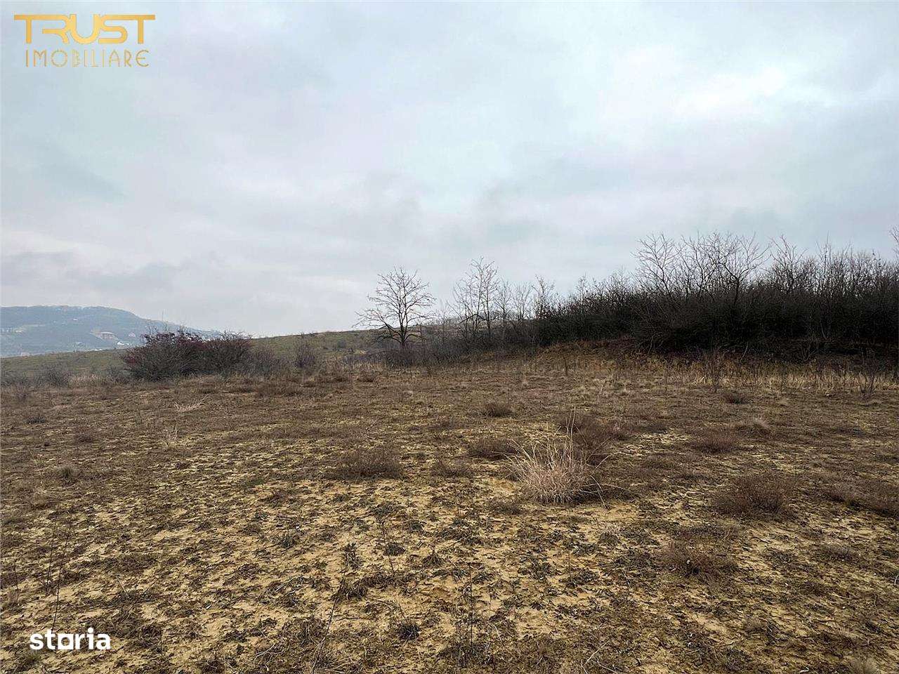 Teren Extravilan Sigmir - Imagine principală: 5/11