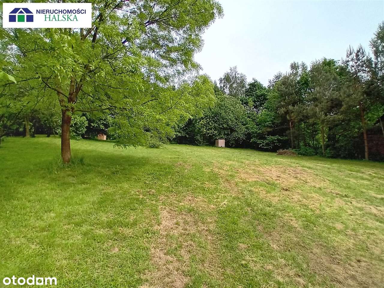 Dom+duża działka budowlana -k.Zator-Energylandia! - Pełny obrazek: 4/14