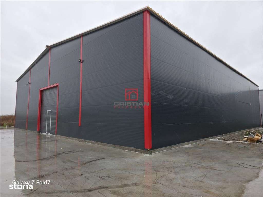 Inchiriere depozithalaspatiu industrial Theodor Pallady - Gara Catelul - Imagine principală: 2/12