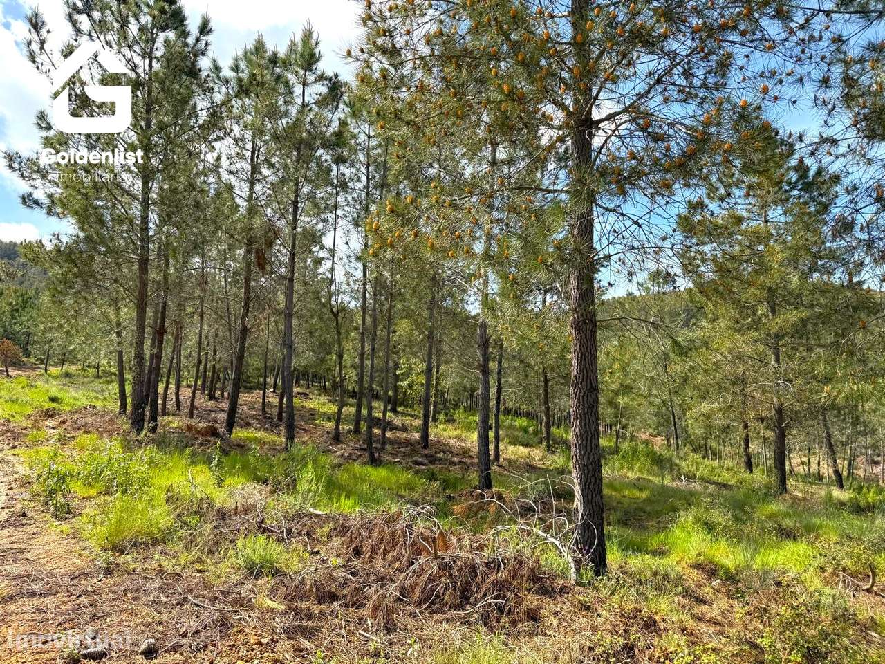 Herdade  Venda em Penamacor,Penamacor-9