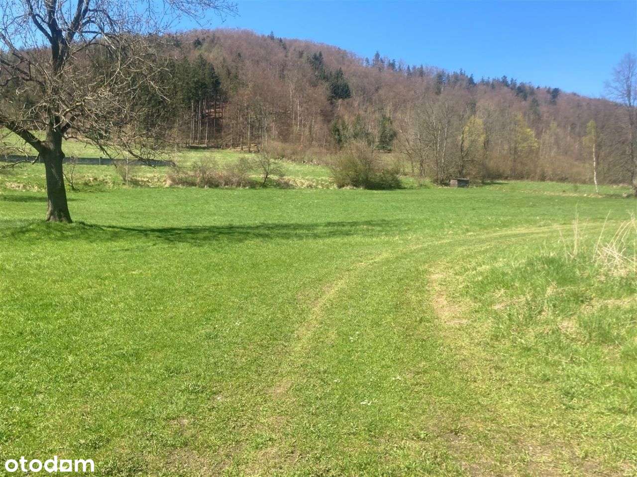 Biznes w górach-budynki do remontu - Pełny obrazek: 4/16