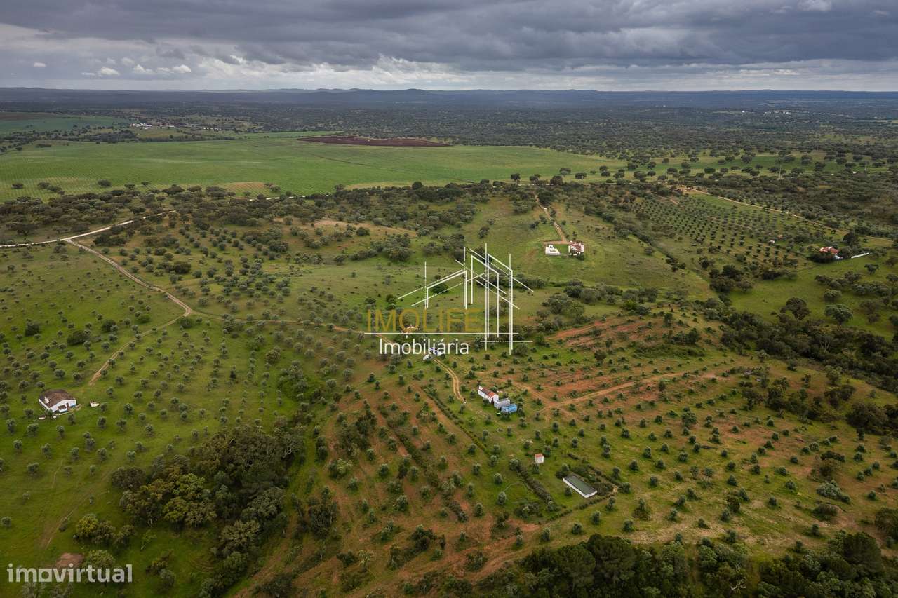 MONTINHO DO CHIADO - MALARRANHA - PAVIA-37