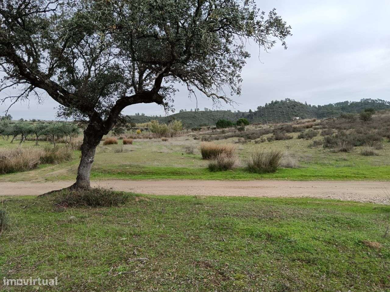 Terreno Rústico - Grande imagem: 5/7