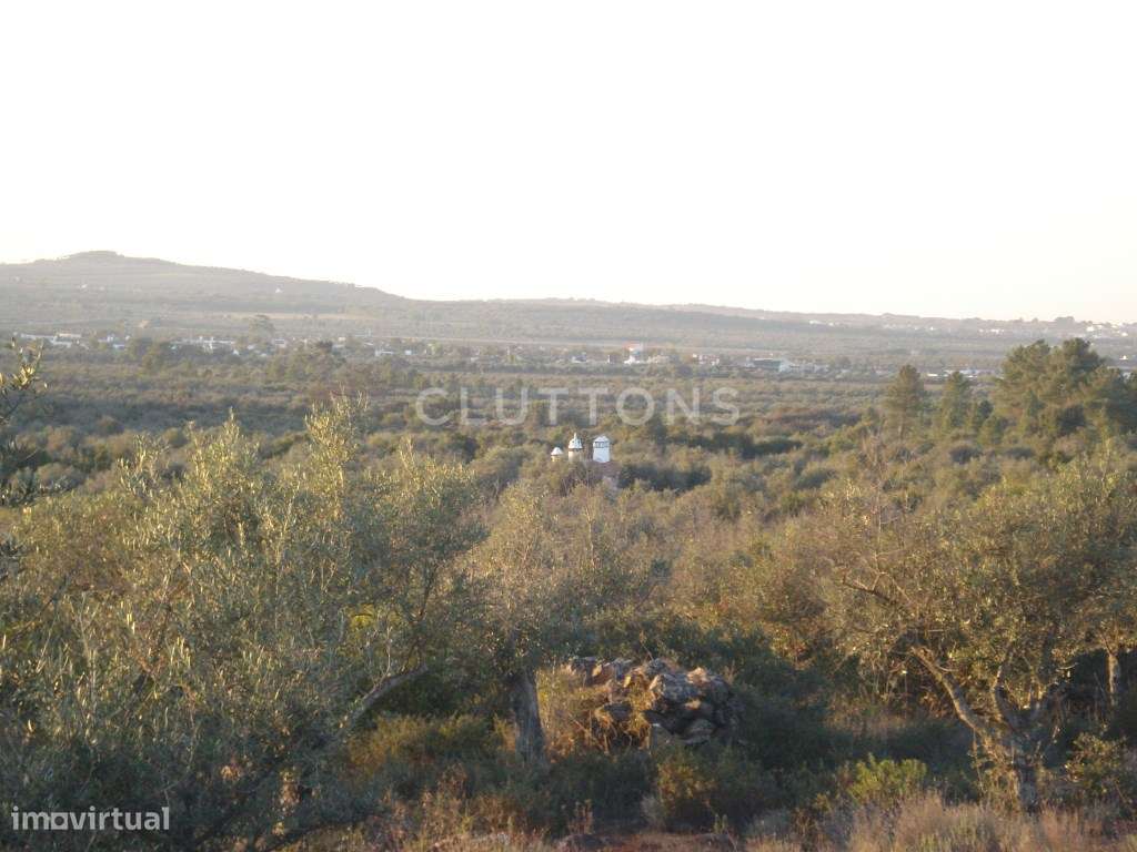 Terreno, 5.4 hectares, PIP aprovado, com possibilidade construção d...-7