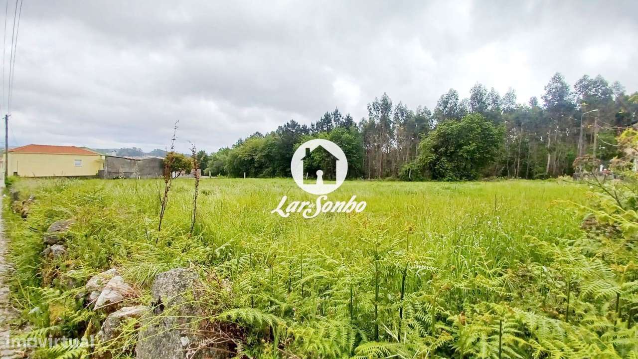 Terreno de 1.250m2 e 29m frente para construção de Moradias em S. P...-9