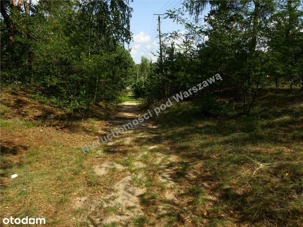 Jeśli Ekologia Jest Dla Ciebie Najważniejsza... - Pełny obrazek: 4/15