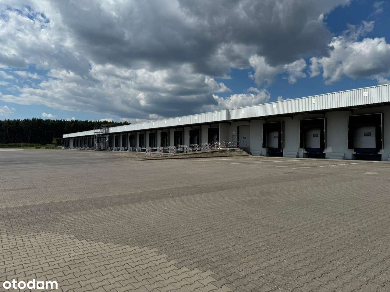 Hala magazynowa |5000 m2| najtaniej w Poznaniu - Pełny obrazek: 3/14