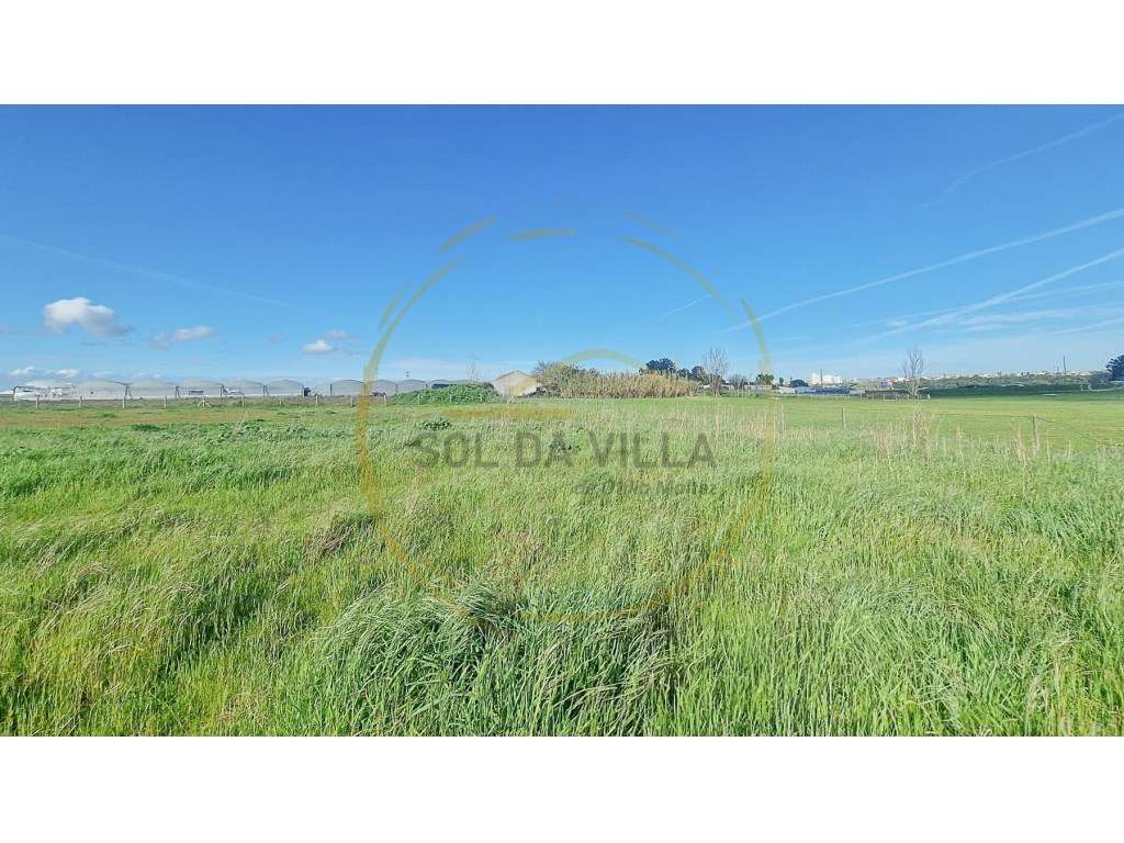 Terreno Sarilhos Grandes - Montijo - 159.900€-5