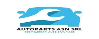 DEZMEMBRARI AUTOPARTS ASN logo