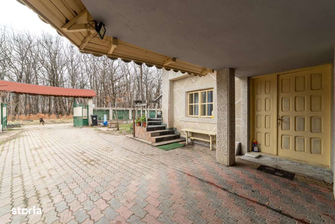 0% Comision !!  CASA CU   LAC SI PRIVELISTE  SUPERBA SPRE PADURE - Imagine principală: 2/8