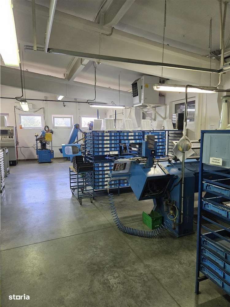 Exclusivitate - Proprietate Industriala De Vanzare - Productie - Depoz-6