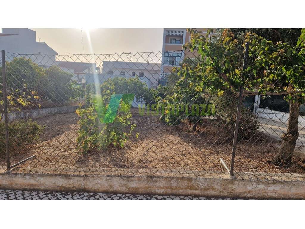 Terreno Urbano em Montenegro para venda. - Grande imagem: 5/10