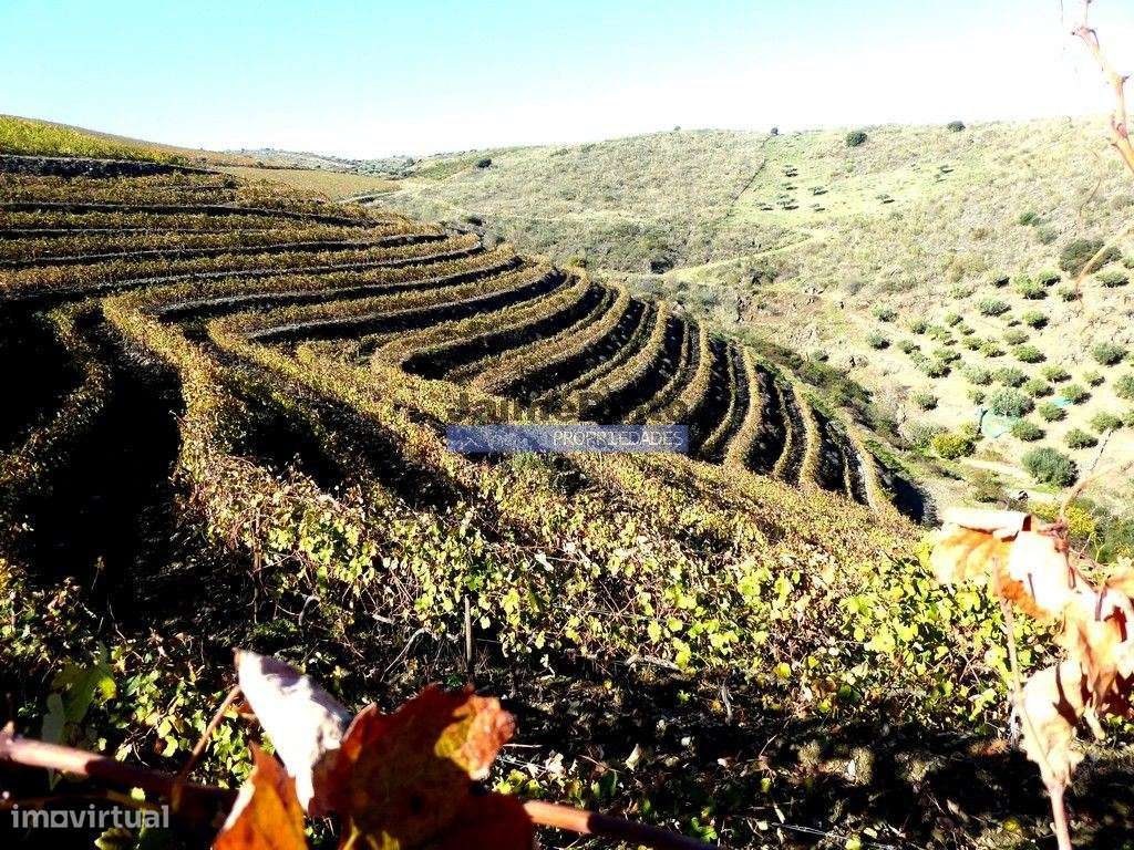 QUINTA 260.000 m² com VINHA. Douro Superior. Portugal, Vila Nova Foz... - Vista 5