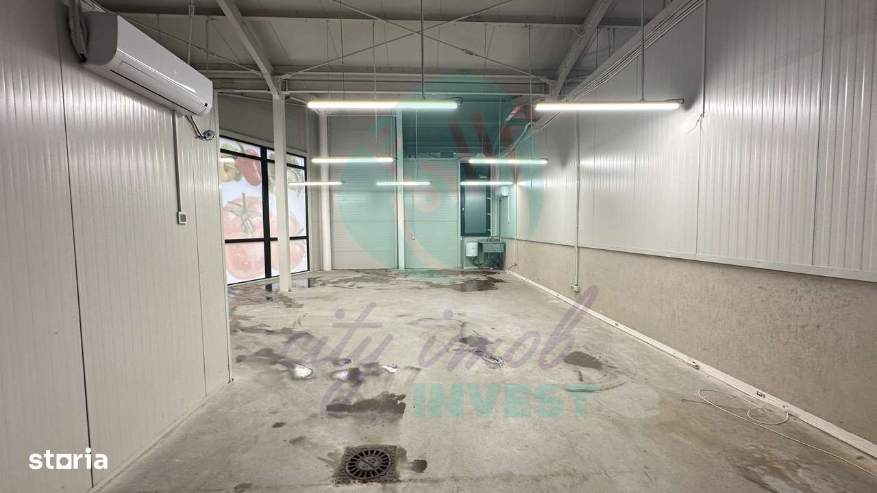 Spatii comerciale de inchiriat in PIATA DELFINULUI - Imagine principală: 3/8