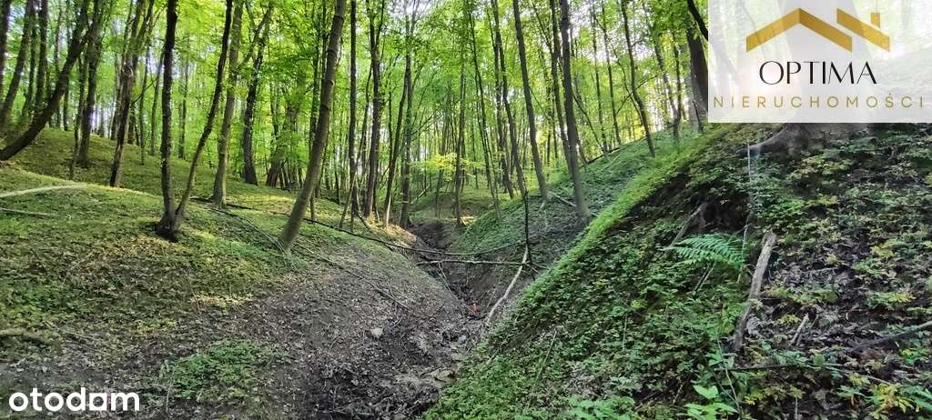 Atrakcyjna działka widokowa z lasem-5