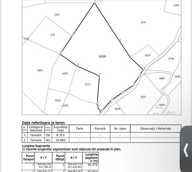 Teren Comuna Horea 17278m2. Apuseni - Imagine principală: 5/5