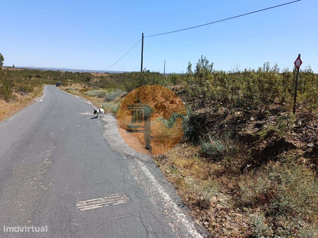 TERRENO COM 34.700 M2 - POSSIBILIDADES DE CONSTRUIR UM ARMAZEM - PR... - Grande imagem: 5/41