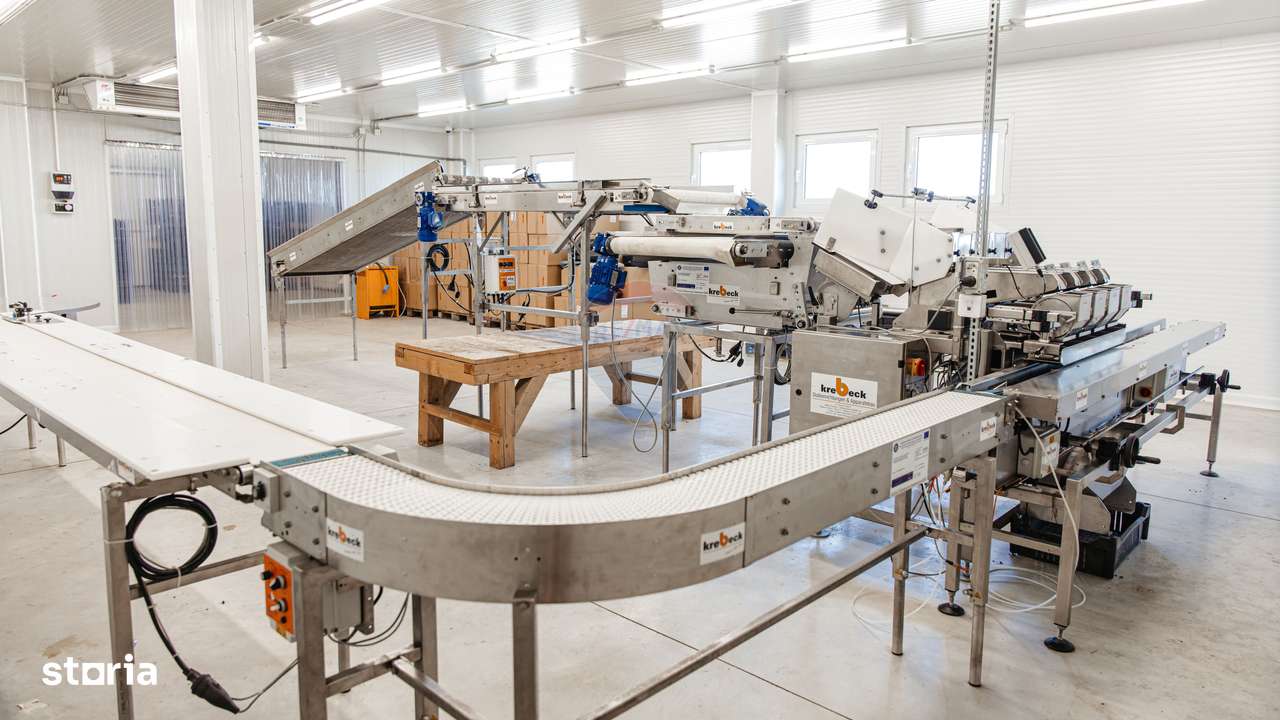 DE VANZARE una dintre cele mai moderne plantatii de afin din Romania - Imagine principală: 4/20