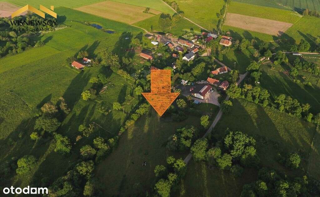 Działka 1.13ha z warunkami zabudowy, Łozy-Braniewo - Pełny obrazek: 2/5