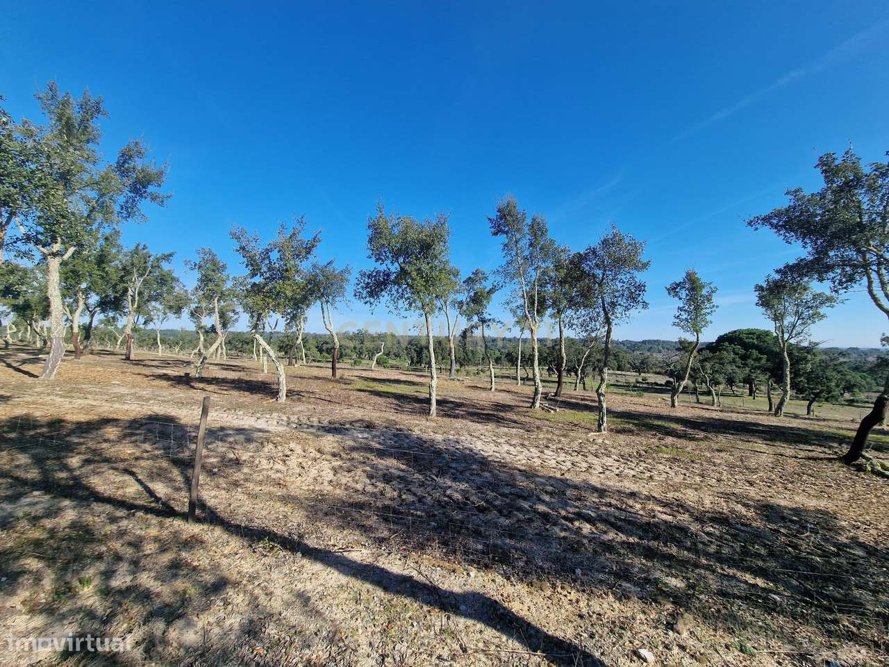 Monte c/cerca de 27h, em Abela, Santiago do Cacém - Grande imagem: 5/12