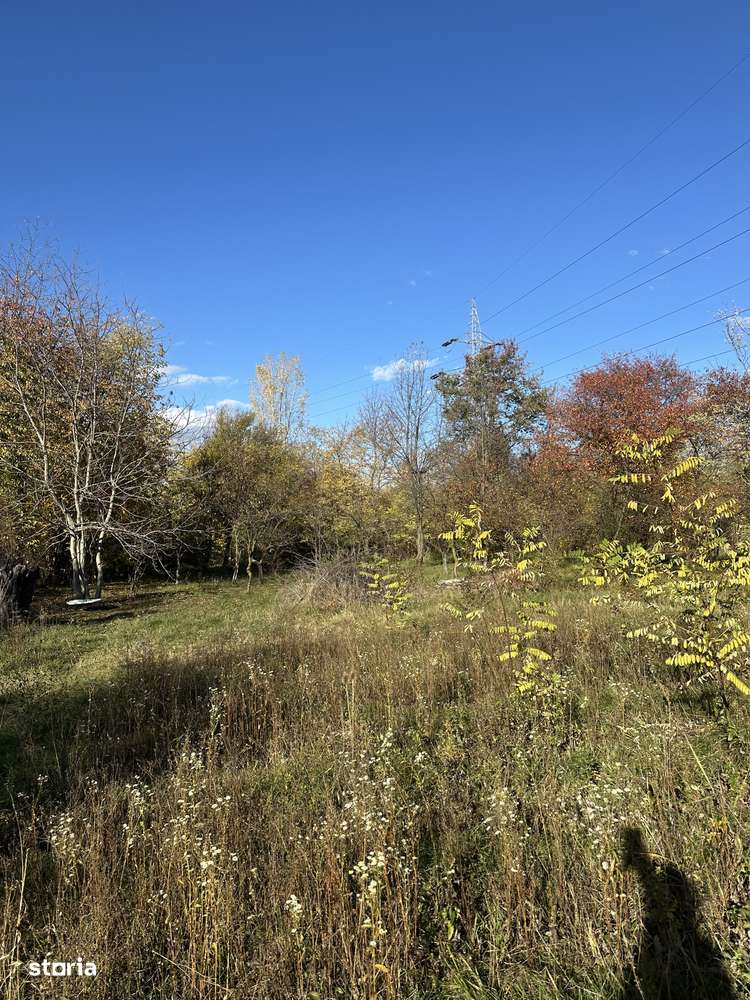 Campina - casă - teren 2506mp - 149900 Euro/Neg.-7