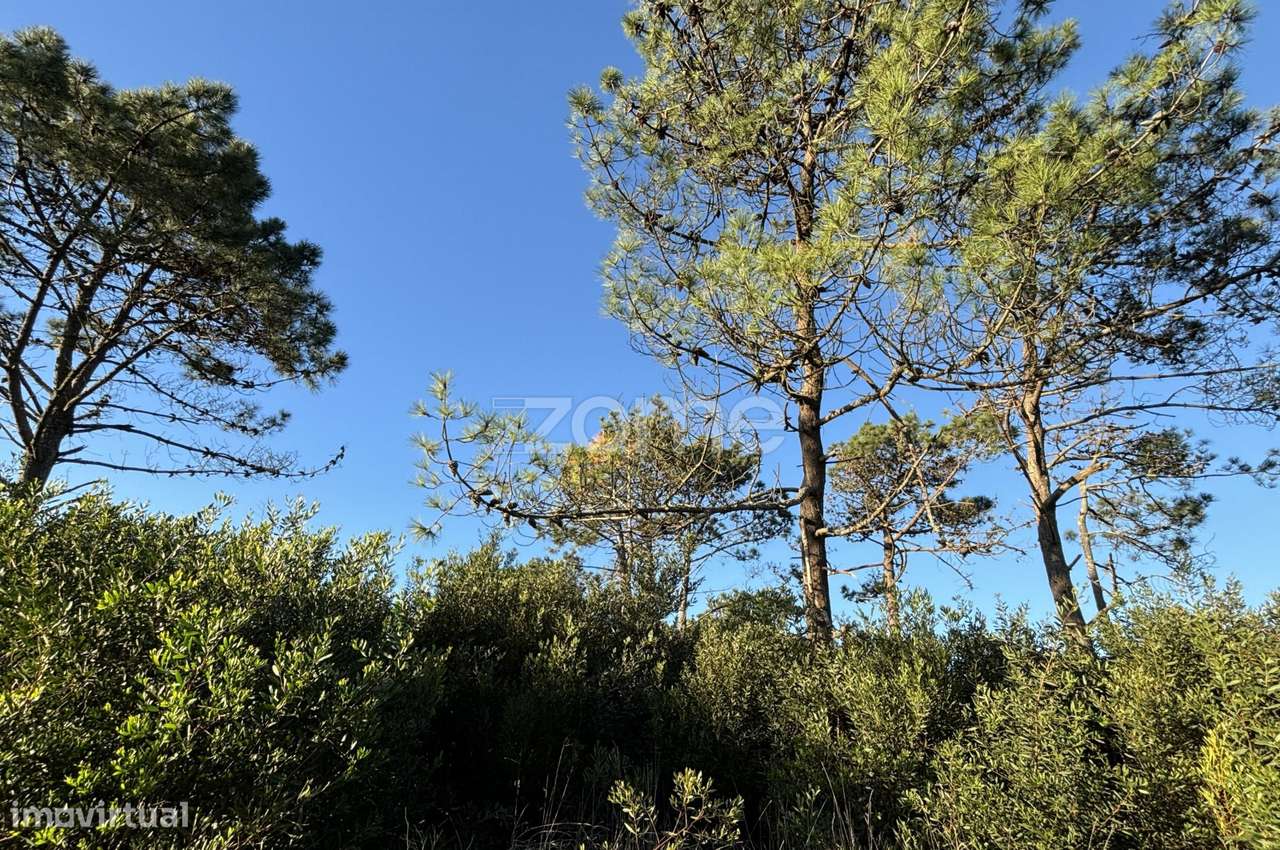 Terreno de 2870m2, muito perto do Mar - Grande imagem: 5/16