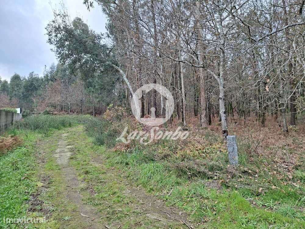 Terreno de 3.134m2 em Viatodos, Barcelos - Grande imagem: 5/8