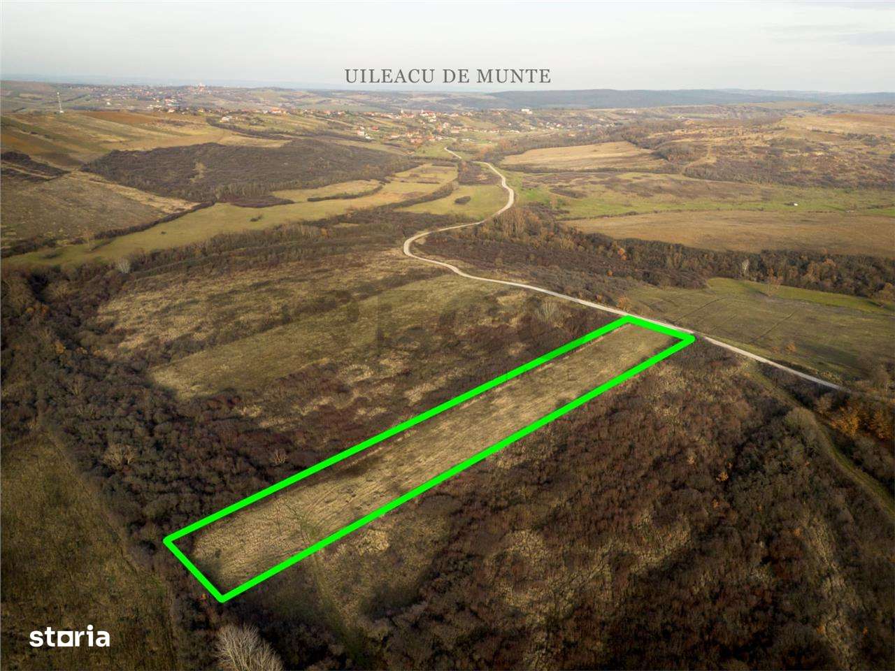 RECO . Teren extravilan . Uileacul de munte - Imagine principală: 2/7