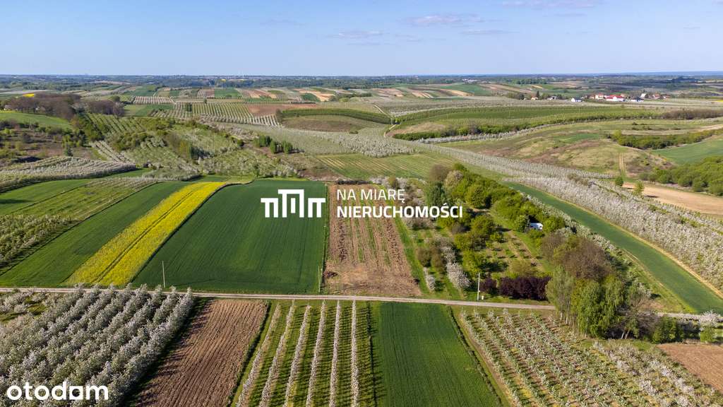 Działka rolna | Możliwość uzyskania WZ - Pełny obrazek: 5/9