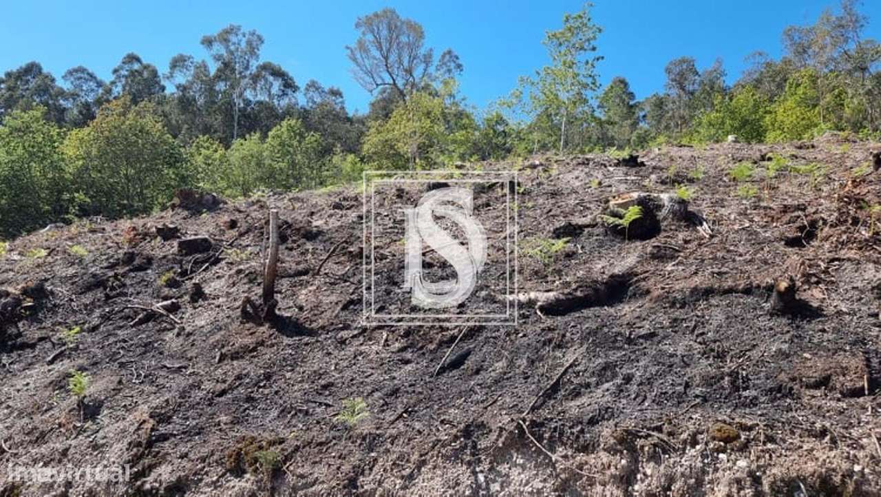 Terreno em Eira Vedra, Vieira do Minho - Grande imagem: 4/26
