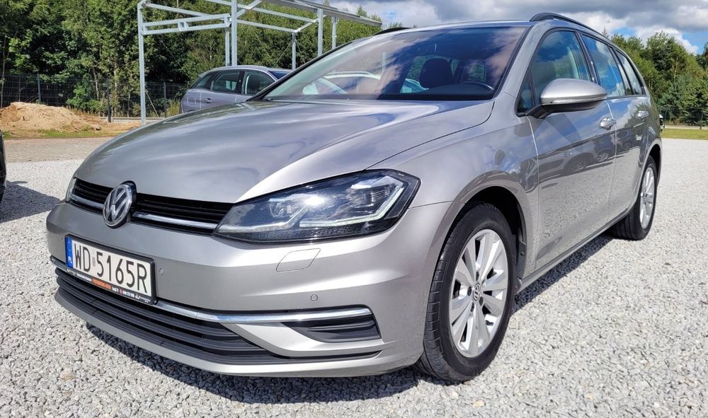 Volkswagen Golf VII (2012-2020) 2019